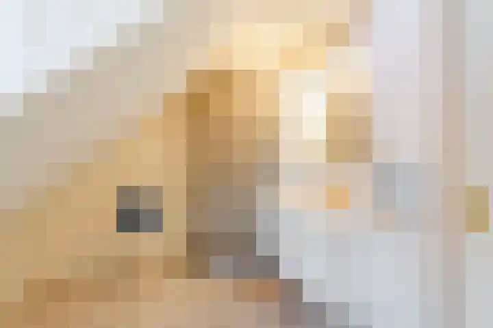 Puntweg 5 Punthorst thumbnail 32