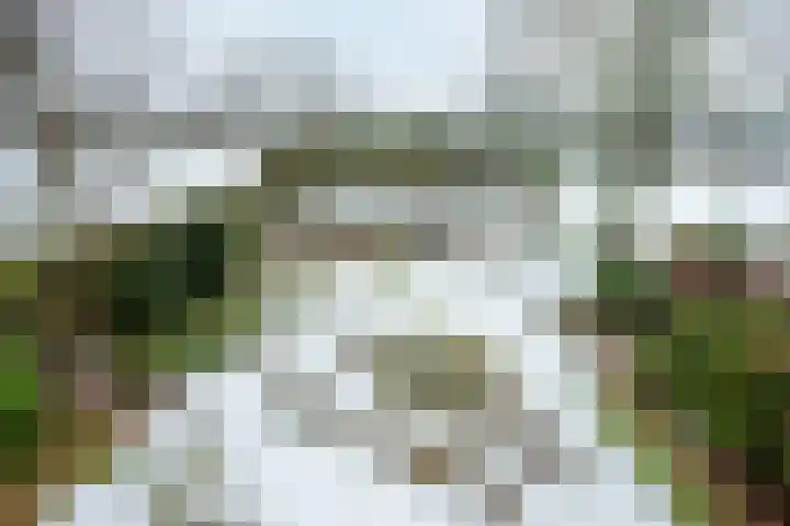 Puntweg 5 Punthorst thumbnail 37