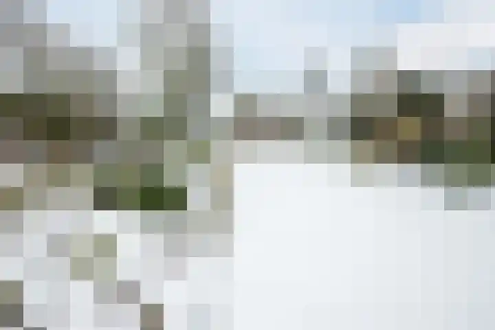 Puntweg 5 Punthorst thumbnail 38