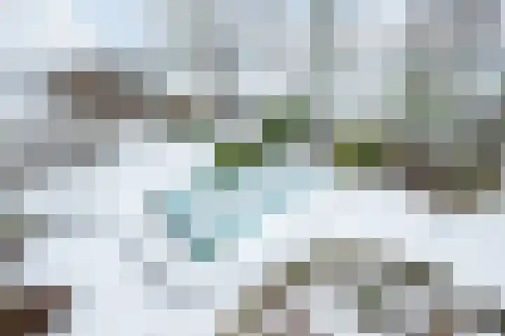 Puntweg 5 Punthorst thumbnail 47
