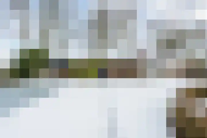 Puntweg 5 Punthorst thumbnail 51