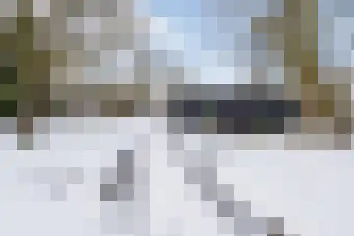 Puntweg 5 Punthorst thumbnail 53