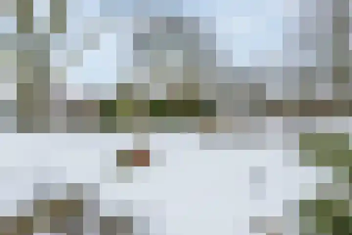 Puntweg 5 Punthorst thumbnail 55