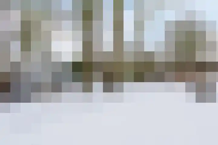 Puntweg 5 Punthorst thumbnail 58