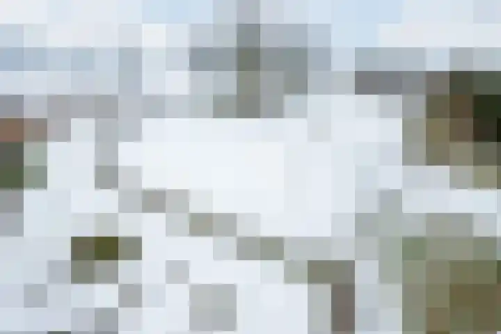 Puntweg 5 Punthorst thumbnail 59