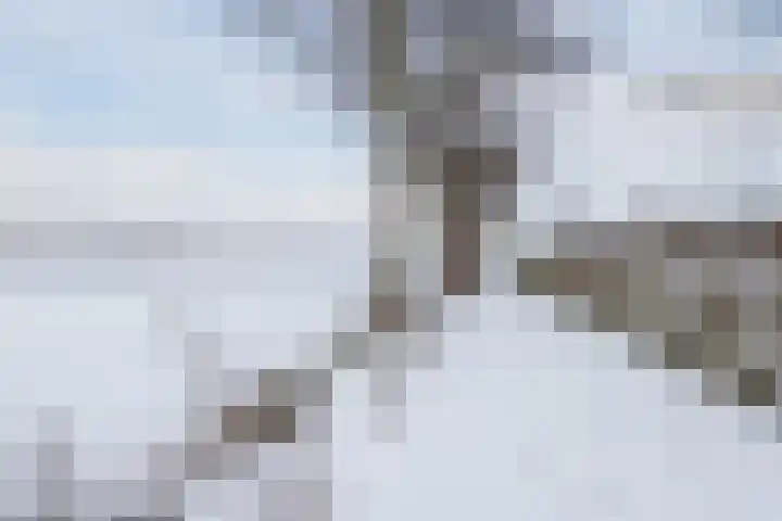 Puntweg 5 Punthorst thumbnail 64