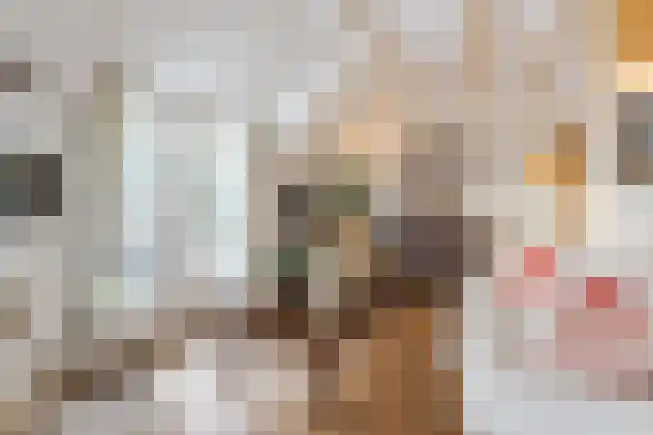 Puntweg 5 Punthorst thumbnail 9