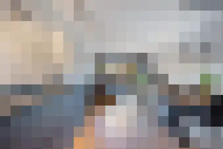 Puoldyk 27 A Dronryp thumbnail 15