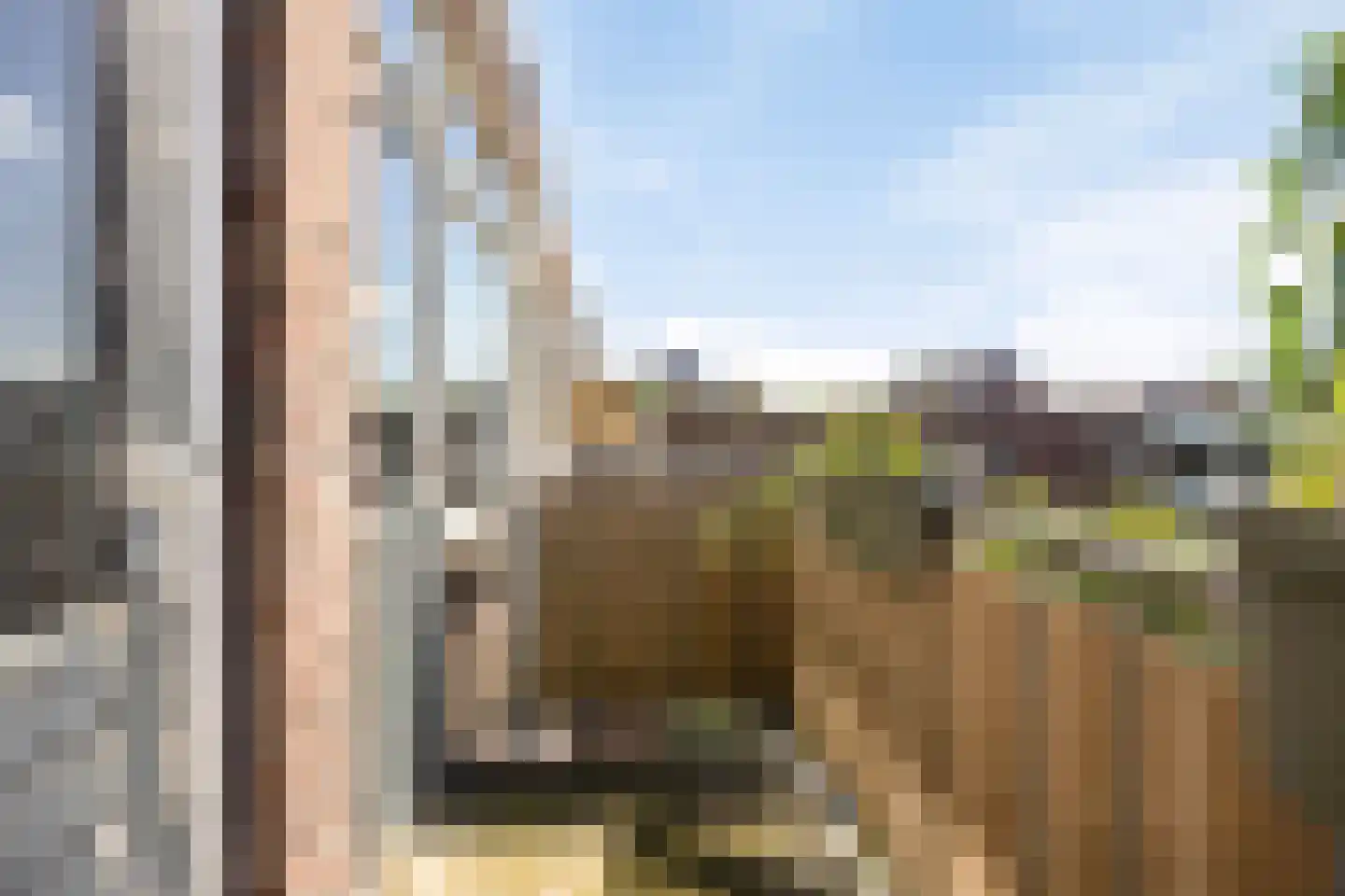 Pupillenstraat 13 D Rotterdam thumbnail 13