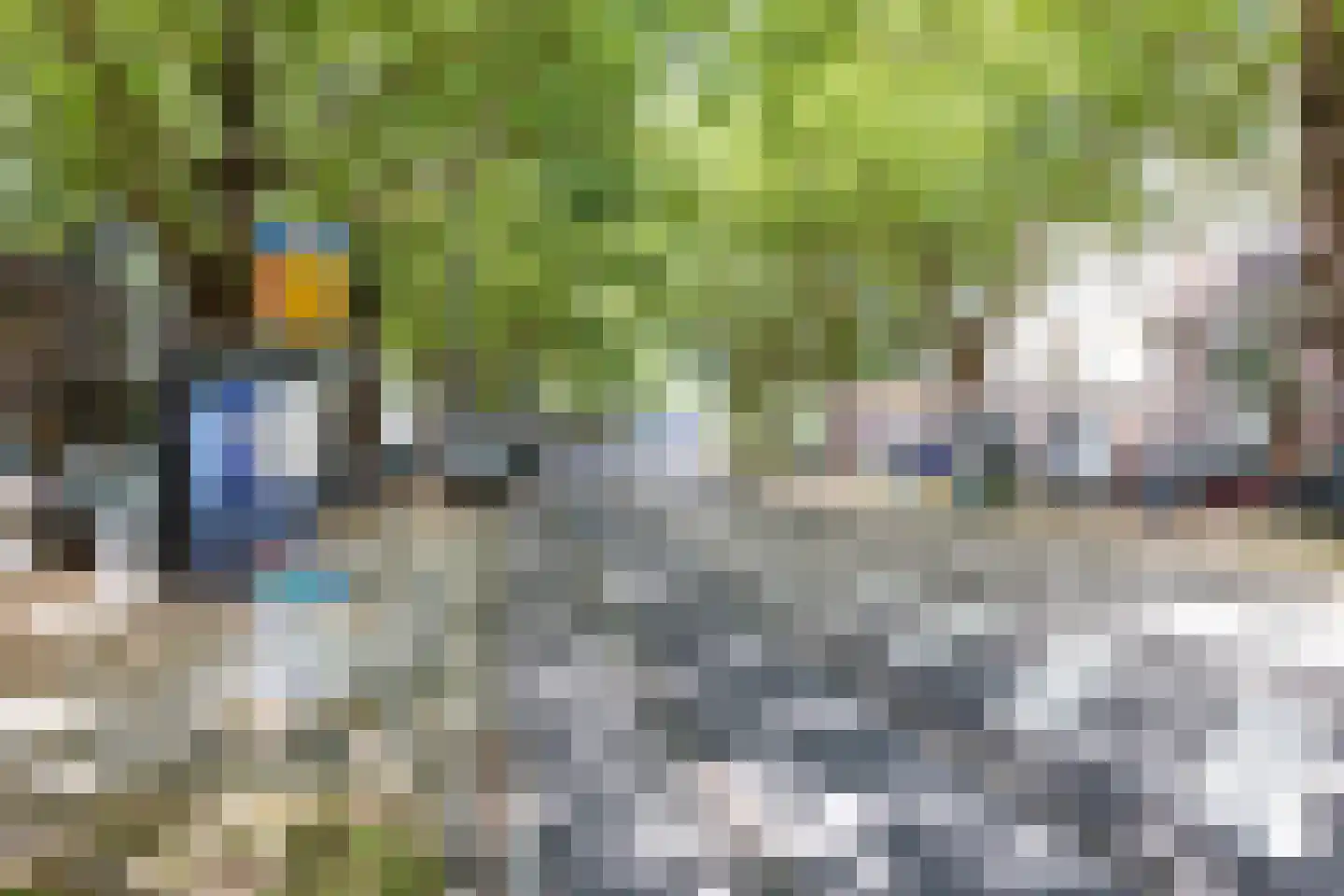 Pupillenstraat 13 D Rotterdam thumbnail 25