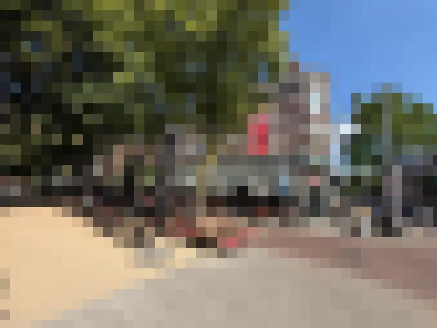 Pupillenstraat 17 A Rotterdam thumbnail 25