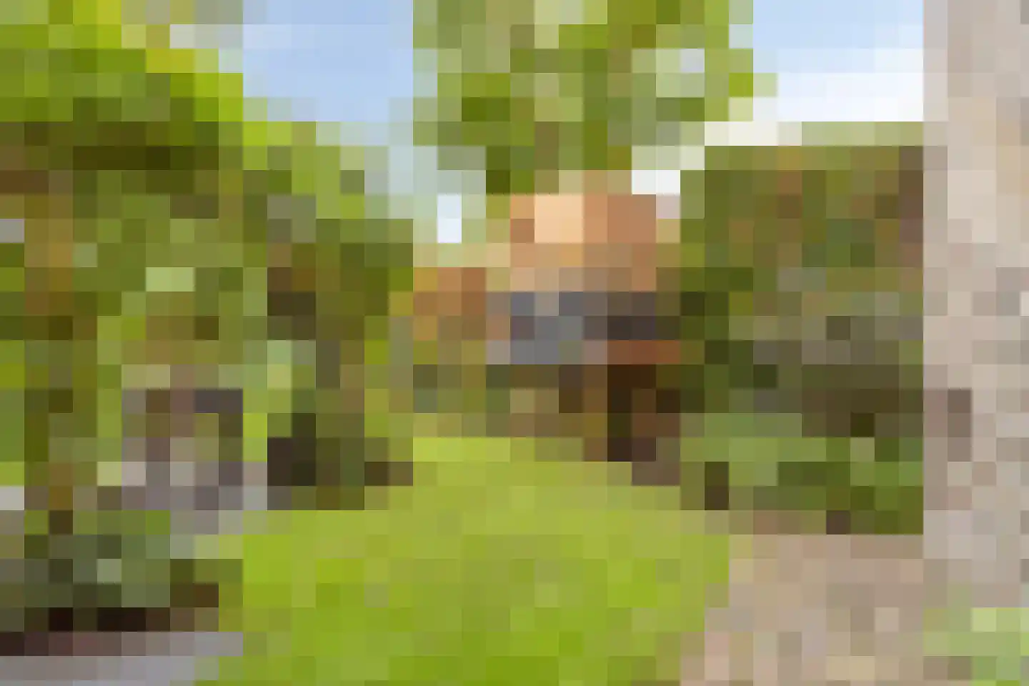 Purcelldreef 101 Tilburg thumbnail 34
