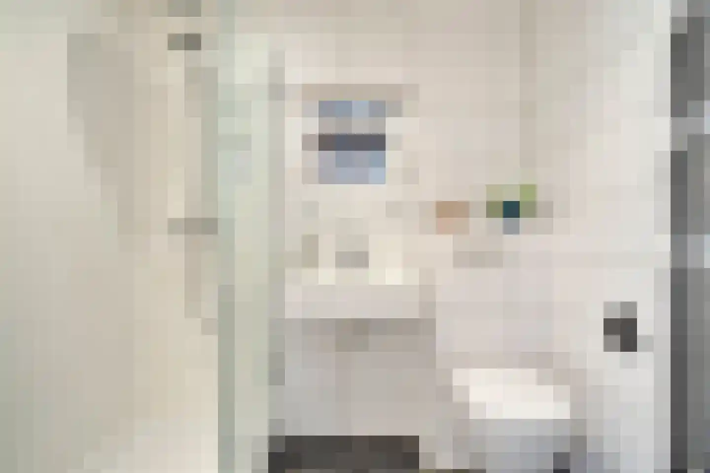 Purcelldreef 101 Tilburg thumbnail 4