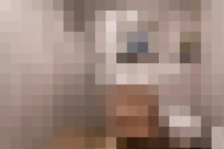 Purcelldreef 17 Tilburg thumbnail 22
