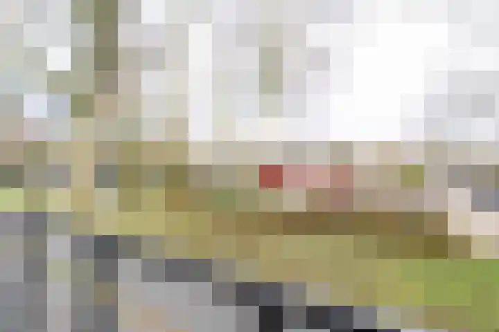 Purcelldreef 17 Tilburg thumbnail 25