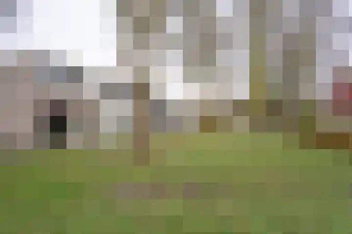 Purcelldreef 17 Tilburg thumbnail 36