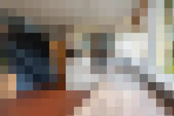 Purcelldreef 17 Tilburg thumbnail 7