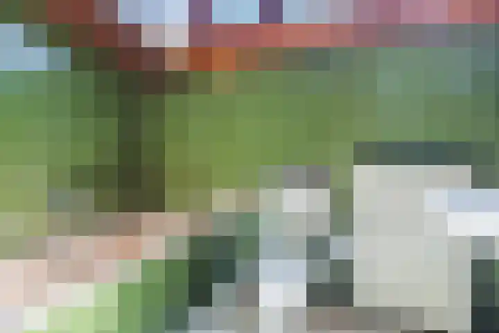 Purcelldreef 20 Tilburg thumbnail 20