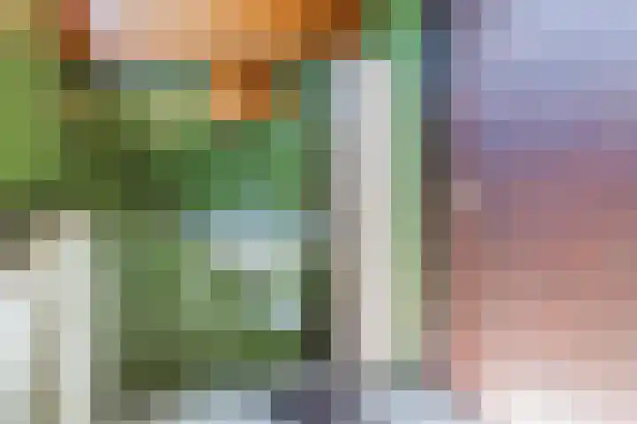 Purcelldreef 20 Tilburg thumbnail 21