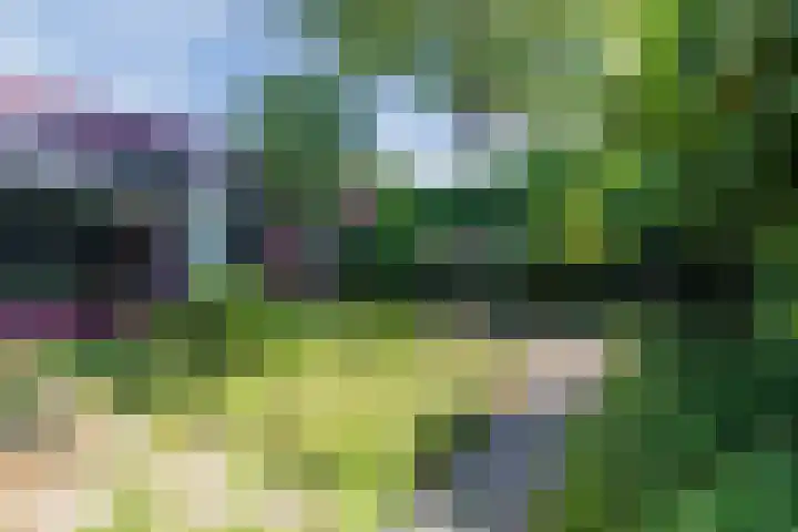 Purcelldreef 20 Tilburg thumbnail 23
