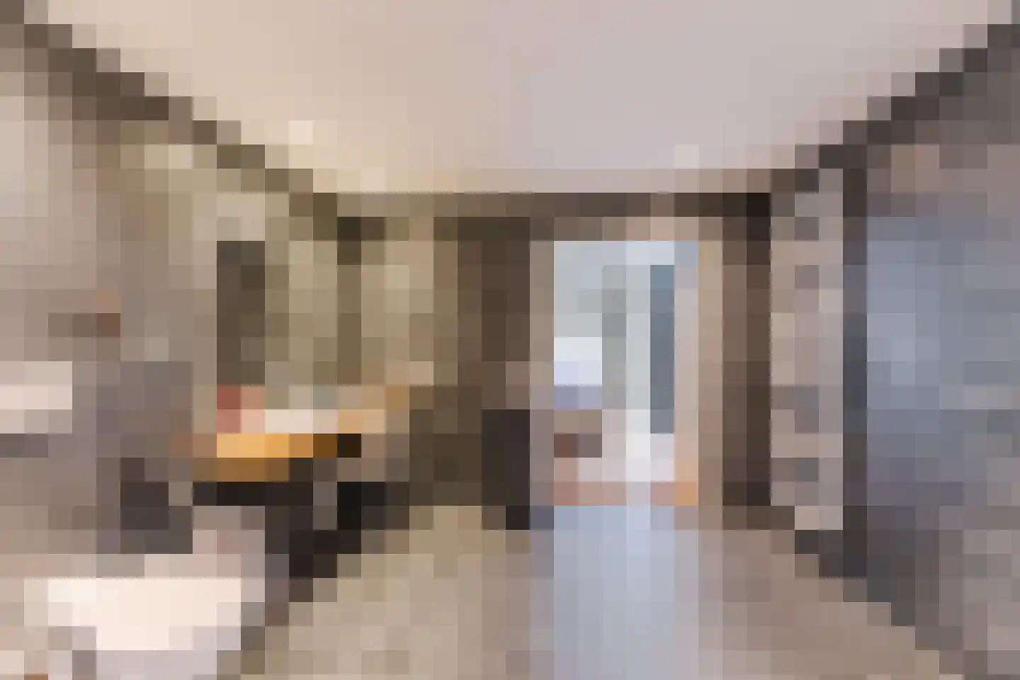 Purcelldreef 28 Tilburg thumbnail 15