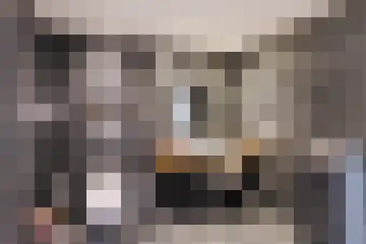 Purcelldreef 28 Tilburg thumbnail 17