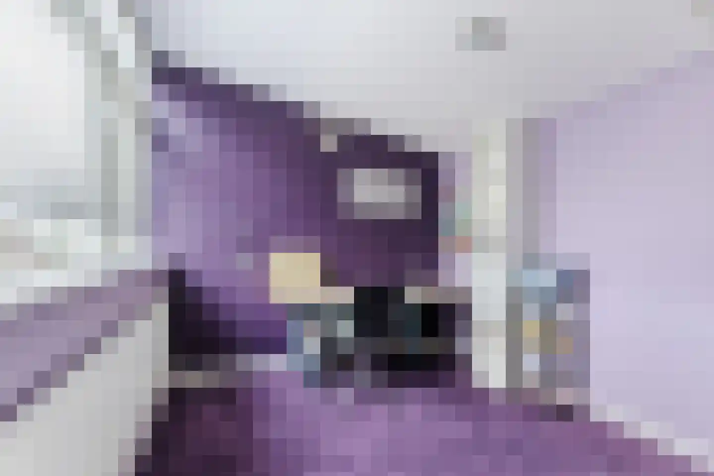 Purcelldreef 28 Tilburg thumbnail 24