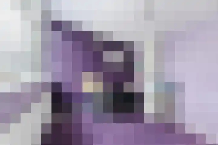 Purcelldreef 28 Tilburg thumbnail 24