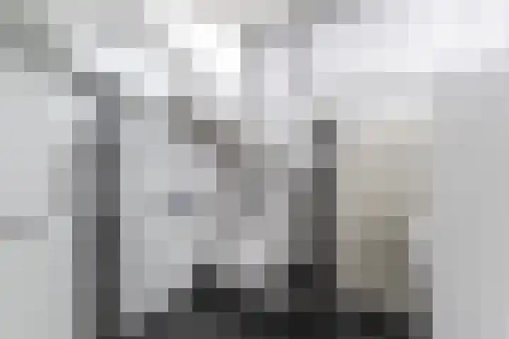 Purcelldreef 28 Tilburg thumbnail 27