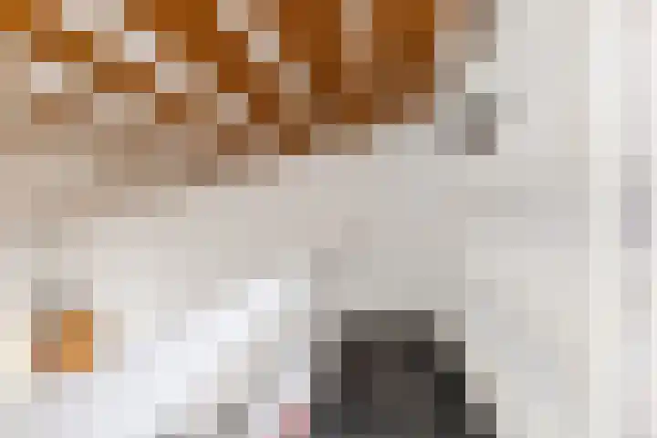 Purcelldreef 28 Tilburg thumbnail 30