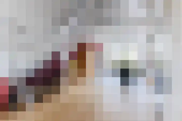 Purcelldreef 28 Tilburg thumbnail 7