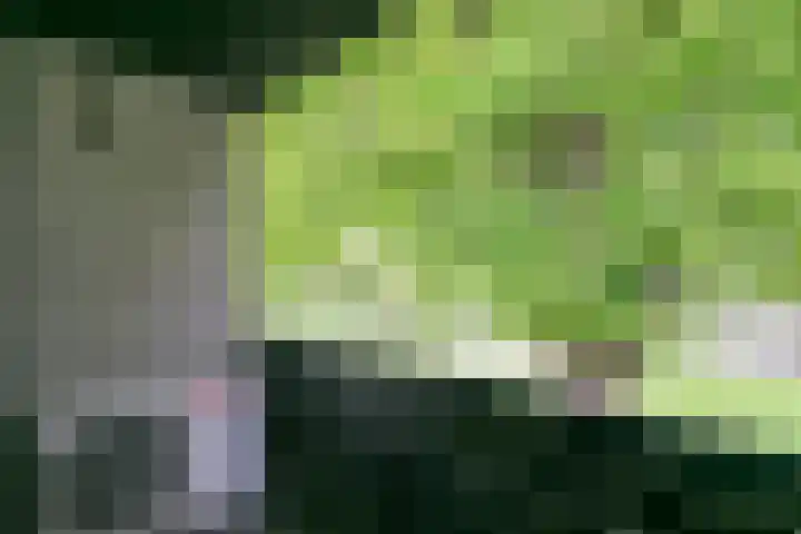 Purcelldreef 67 Tilburg thumbnail 27