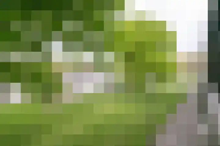 Purcelldreef 67 Tilburg thumbnail 28