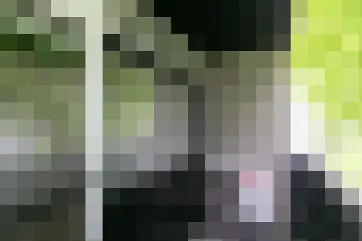 Purcelldreef 67 Tilburg thumbnail 29