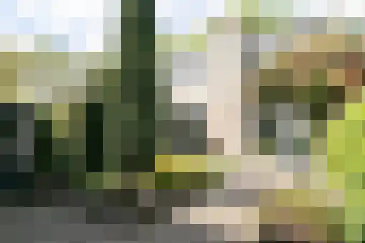 Purcelldreef 67 Tilburg thumbnail 30