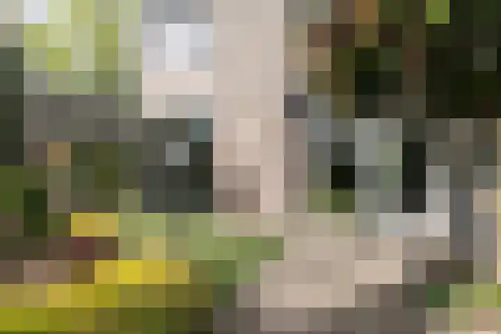 Purcelldreef 67 Tilburg thumbnail 31