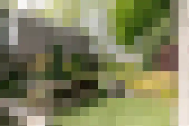 Purcelldreef 67 Tilburg thumbnail 32