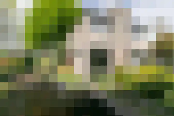 Purcelldreef 67 Tilburg thumbnail 34