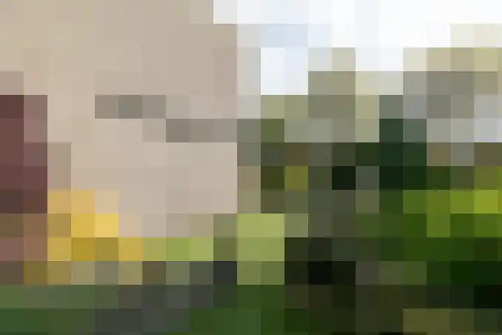 Purcelldreef 67 Tilburg thumbnail 36