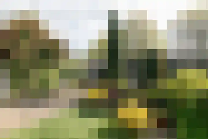 Purcelldreef 67 Tilburg thumbnail 38