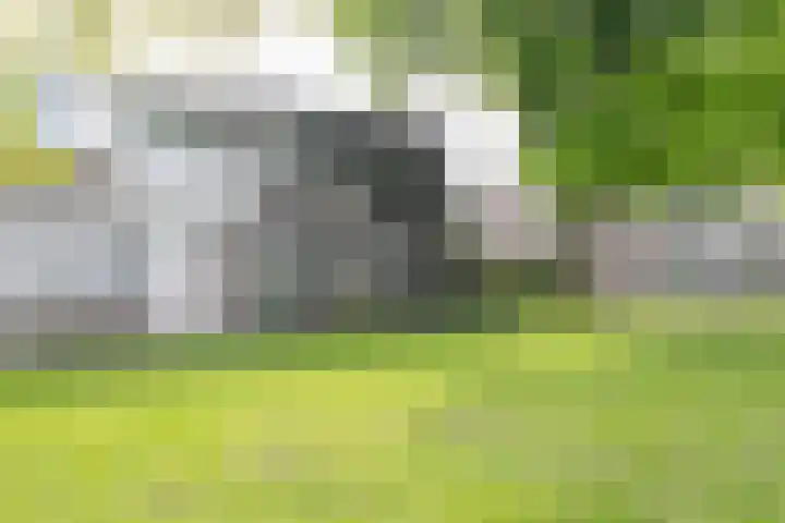 Purcelldreef 67 Tilburg thumbnail 45