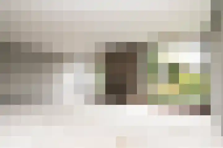 Purcelldreef 67 Tilburg thumbnail 5