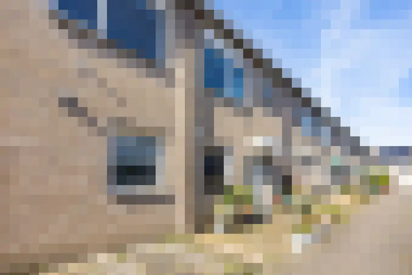 Purcellstraat 36 Almere thumbnail 32