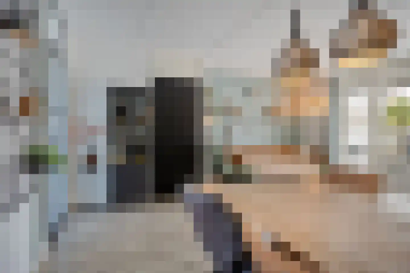 Purmer 10 Emmeloord thumbnail 12