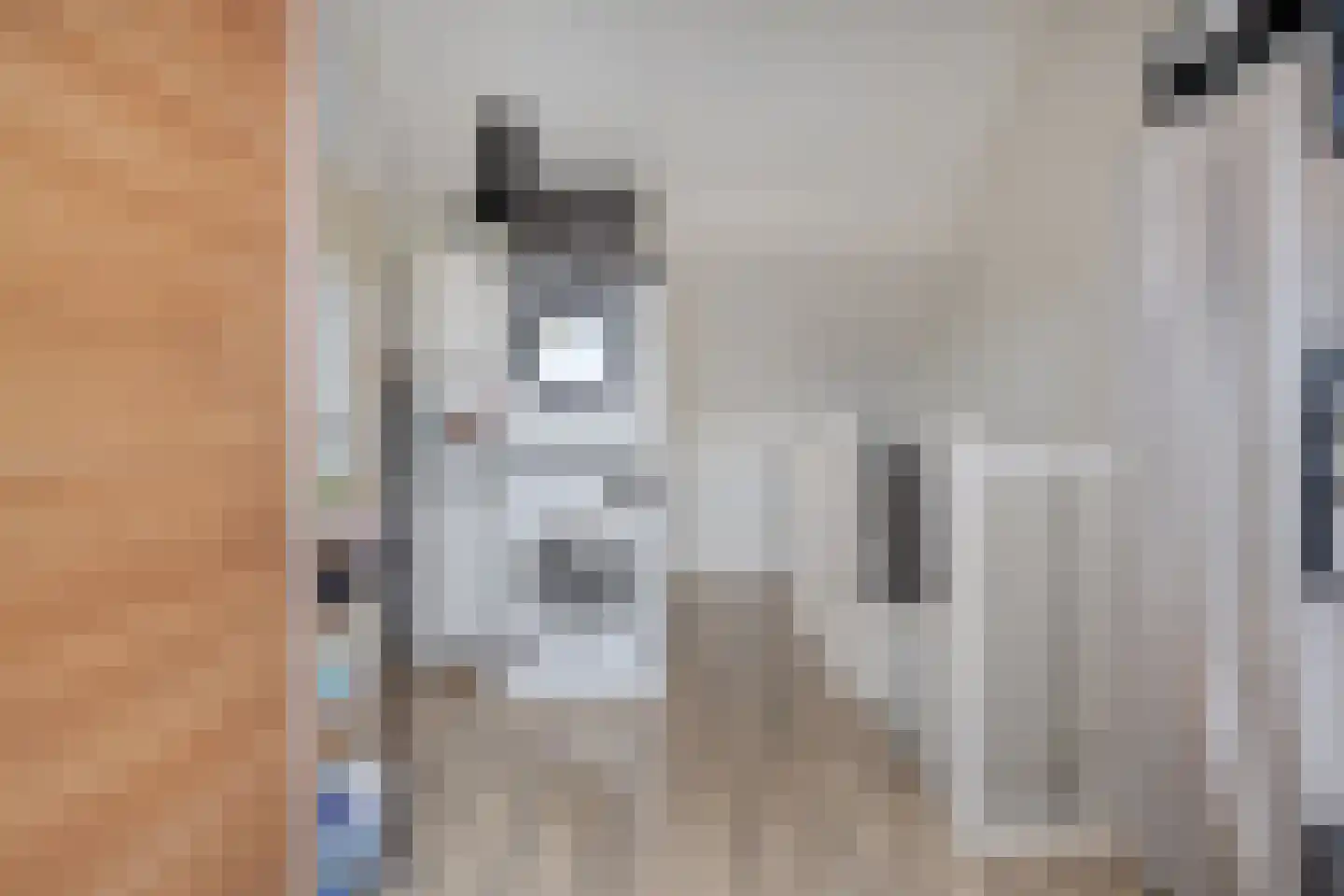 Purmer 10 Emmeloord thumbnail 27