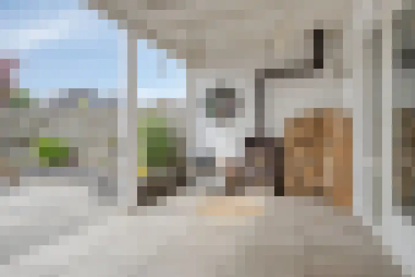 Purmer 10 Emmeloord thumbnail 31
