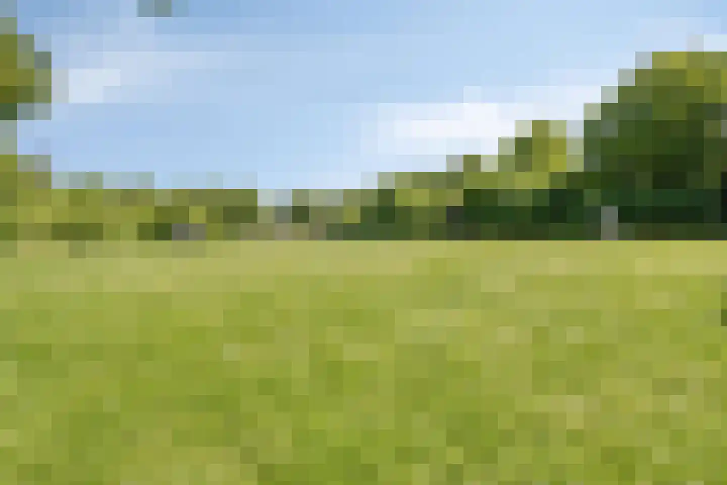 Purmer 10 Emmeloord thumbnail 40