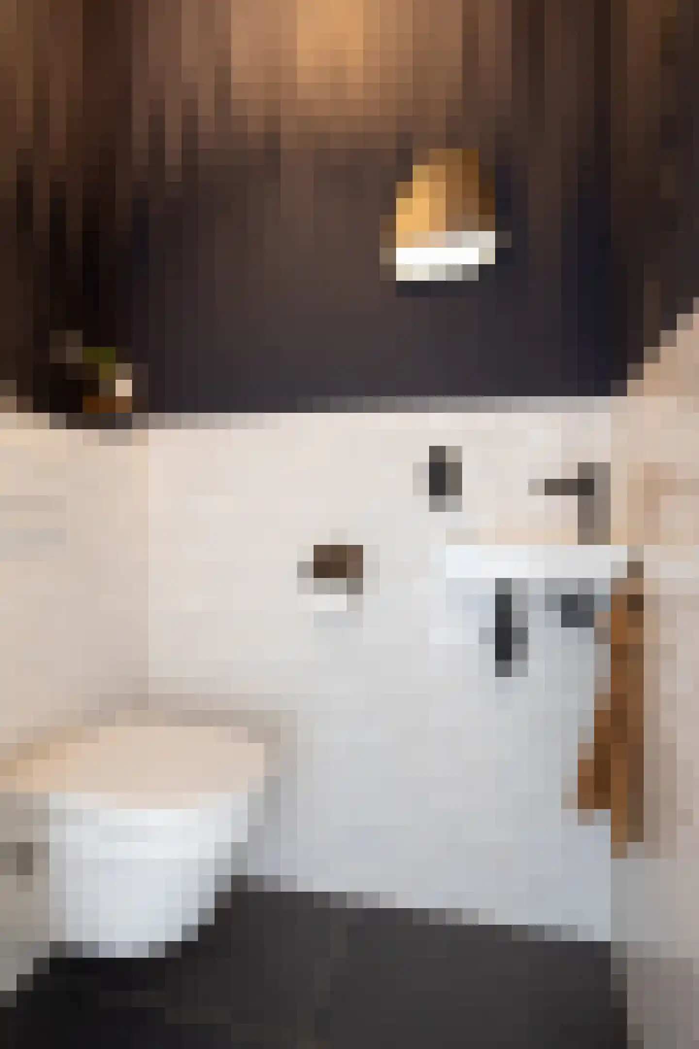 Purmer 10 Emmeloord thumbnail 5