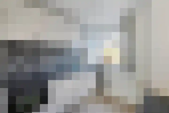 Purmer 18 Emmeloord thumbnail 17