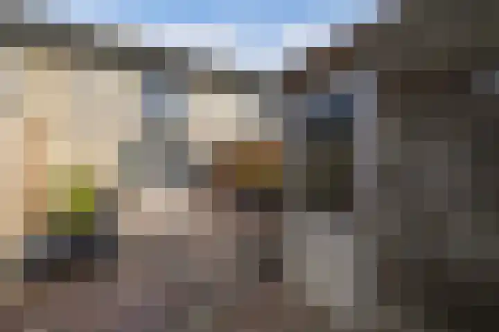 Purmer 18 Emmeloord thumbnail 21